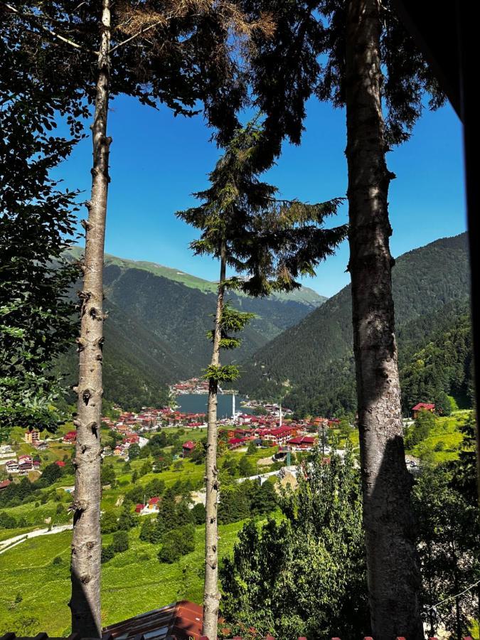 Maneviga Cafe & Apart Lejlighedshotel Uzungöl Eksteriør billede